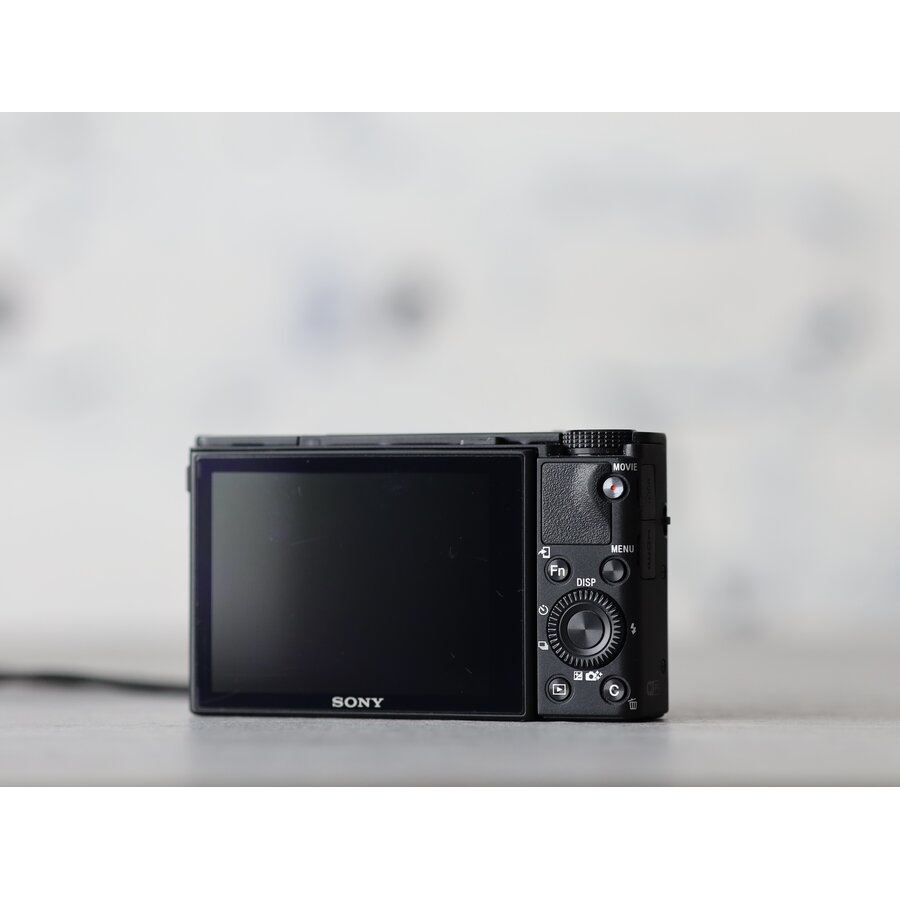 Sony Cybershot RX100 IV-3
