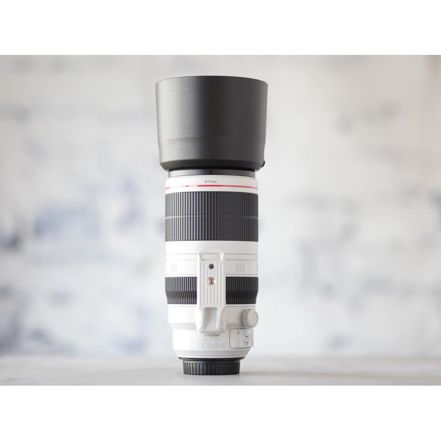 Canon EF 100-400mm f/4.5-5.6L IS II USM-5