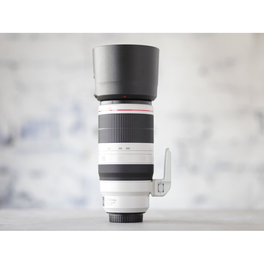 Canon EF 100-400mm f/4.5-5.6L IS II USM-4