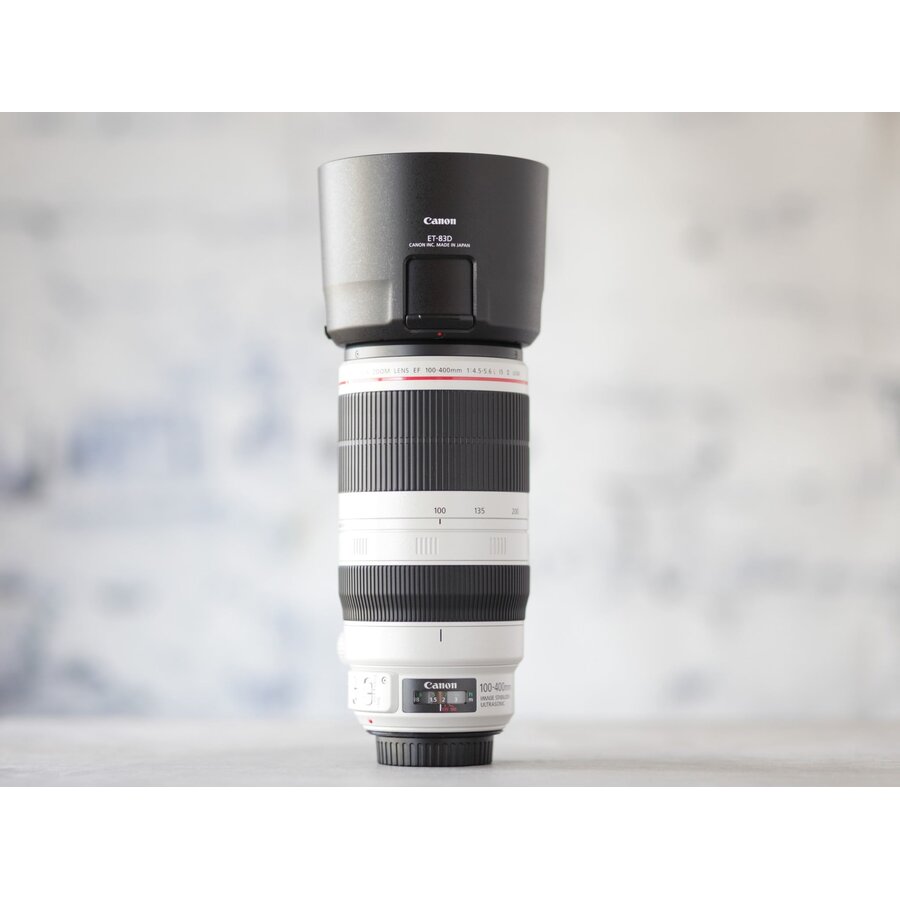 Canon EF 100-400mm f/4.5-5.6L IS II USM-2