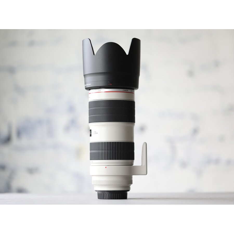 Canon EF 70-200mm f/2.8L IS II USM-4