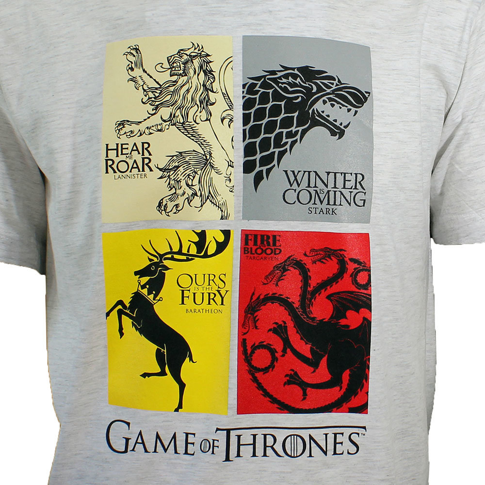Game of Thrones Game of Thrones T-Shirt „Erben des Throns“ in Grau Game of Thrones Game of Thrones T-Shirt „Erben des Throns“ in Grau