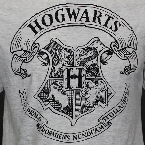 Harry Potter Harry Potter Hogwarts-Schulemblem-T-Shirt Grau Harry Potter Harry Potter Hogwarts-Schulemblem-T-Shirt Grau