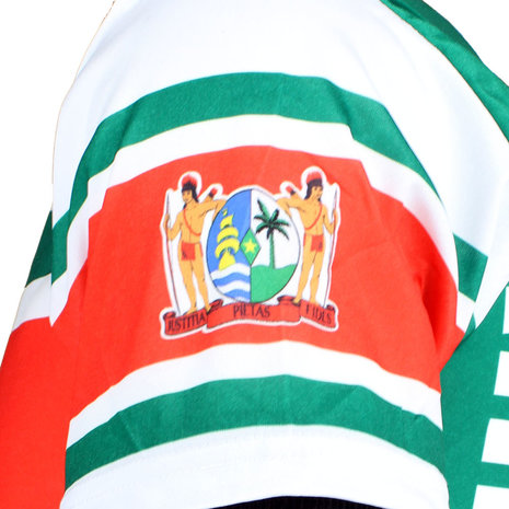 Suriname Suriname Vlag Voetbal Sport T-Shirt Suriname Suriname Vlag Voetbal Sport T-Shirt