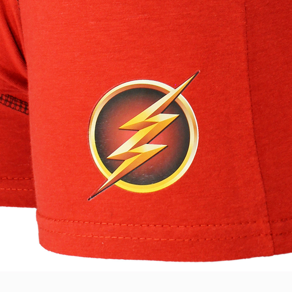DC Comics The Flash Boxer Shorts Underpants - Official Merchandise DC Comics The Flash Boxer Shorts Underpants - Official Merchandise