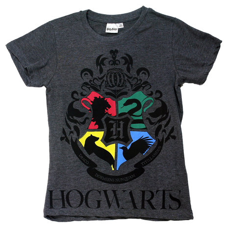 Harry Potter Harry Potter Hogwarts Kids T-Shirt Dark Gray - Official Merchandise Harry Potter Harry Potter Hogwarts Kids T-Shirt Dark Gray - Official Merchandise
