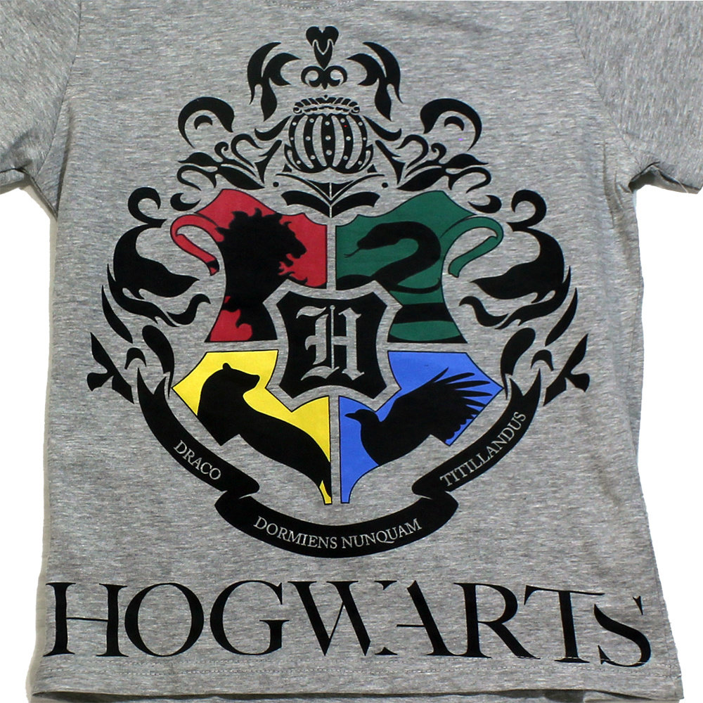 Harry Potter Harry Potter Hogwarts Kids T-Shirt Lichtgrijs - Officiële Merchandise Harry Potter Harry Potter Hogwarts Kids T-Shirt Lichtgrijs - Officiële Merchandise