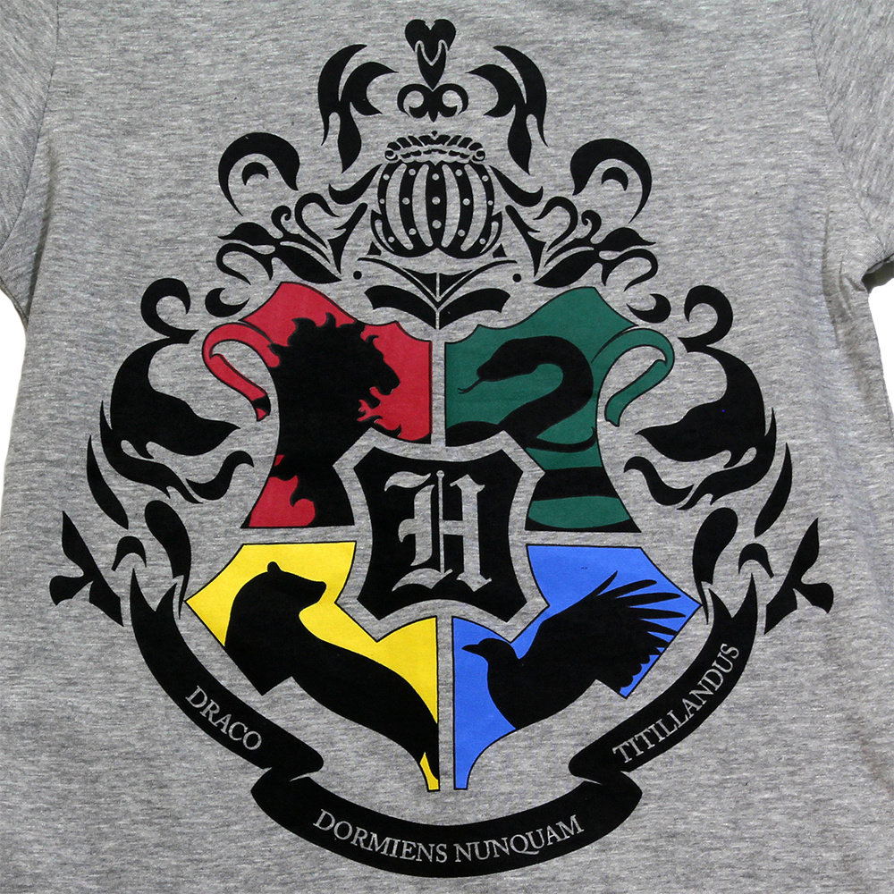 Harry Potter Hogwarts Kids T-Shirt Light Gray - Official Merchandise