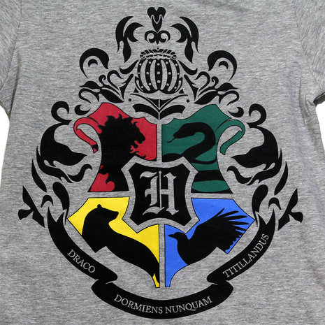 Harry Potter Harry Potter Hogwarts Kinder T-Shirt Hellgrau – Offizielles Merchandise Harry Potter Harry Potter Hogwarts Kinder T-Shirt Hellgrau – Offizielles Merchandise