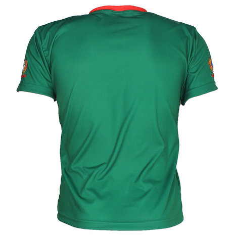 Suriname Suriname Vlag Oldschool Style Voetbal T-Shirt Groen - Origineel Design Suriname Suriname Vlag Oldschool Style Voetbal T-Shirt Groen - Origineel Design