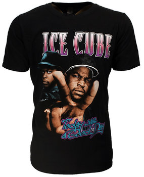Band Merchandise Ice Cube Today Was A Good Day T-Shirt Band Merchandise Ice Cube Today Was A Good Day T-Shirt