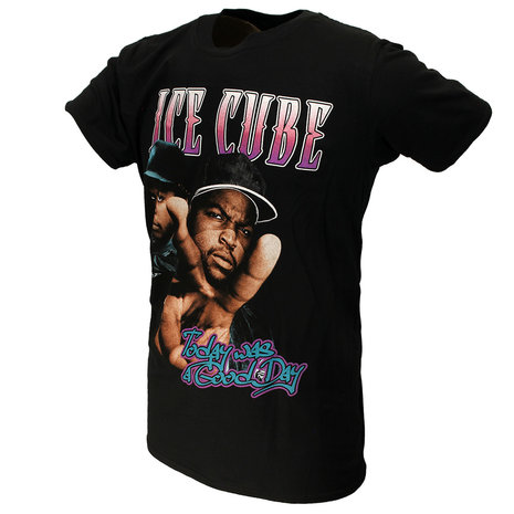 Band Merchandise Ice Cube Today Was A Good Day T-Shirt - Officiële Merchandise