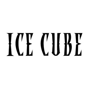 Ice Cube Ice Cube