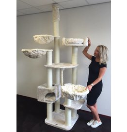 Catdream De Luxe Creme (RHR0276)
