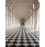 Fotobehang - Palace of Venaria - 183 x 254 cm - Multi