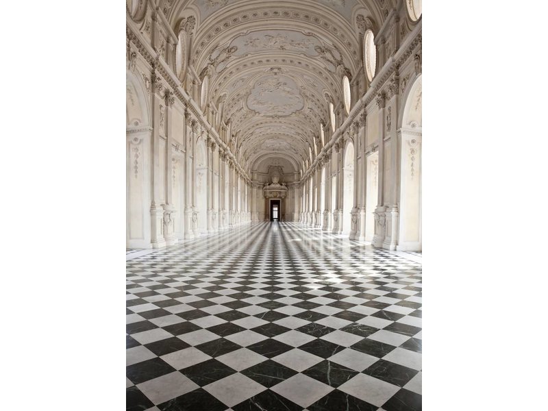 Fotobehang - Palace of Venaria - 183 x 254 cm - Multi