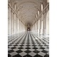 Palace of Venaria 183x254 cm