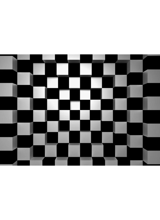 Fotobehang Black + White Squares 366x254 cm