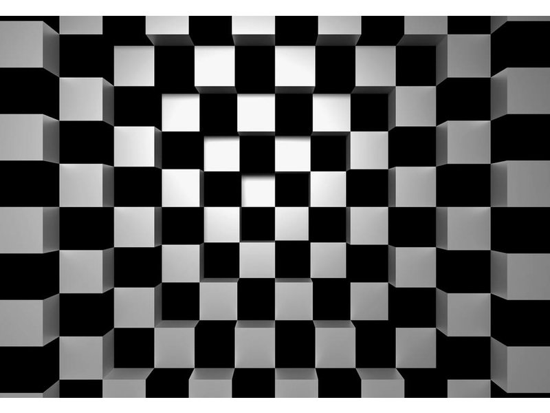 Fotobehang - Black + White Squares - 366 x 254 cm - Multi