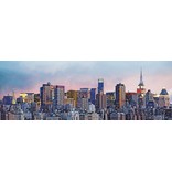 Fotobehang - New York Skyline - 366 x 127 cm - Multi