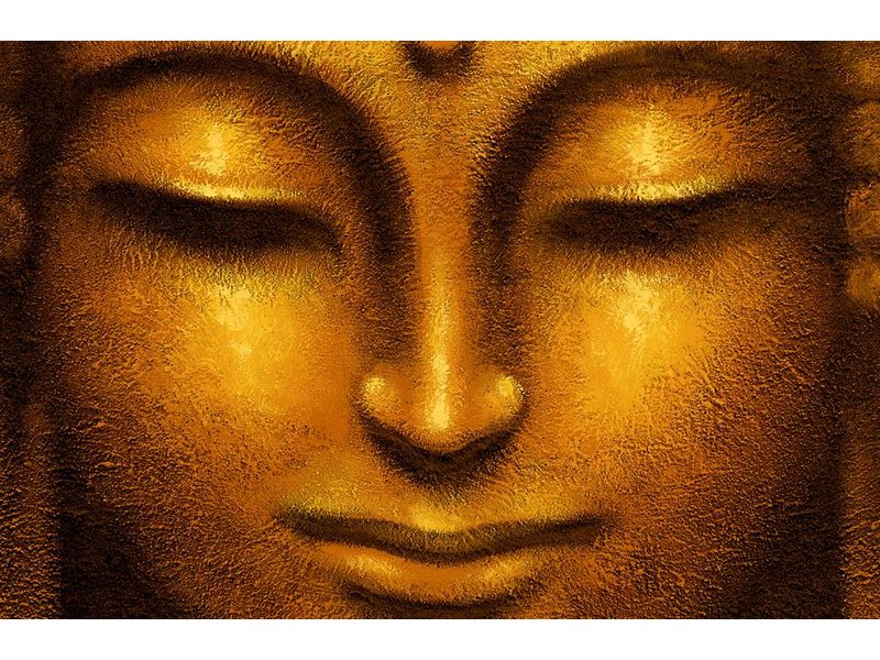 Fotobehang - Nataraja: Siddhartha - 175 x 115 cm - Multi-