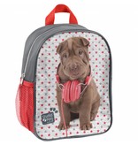 Studio Pets Kleinkinder Rucksack Shar-Pei - 28 x 22 x 10 cm - Multi