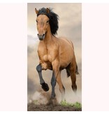 Animal Pictures Pferd - Strandtuch - 70 x 140 cm - Multi