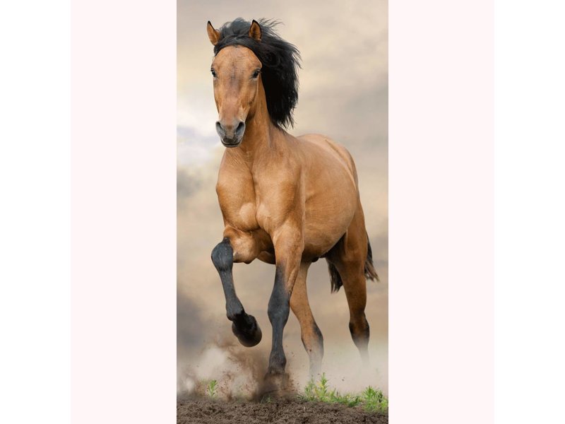 Animal Pictures Paard - Strandlaken - 70 x 140 cm - Multi