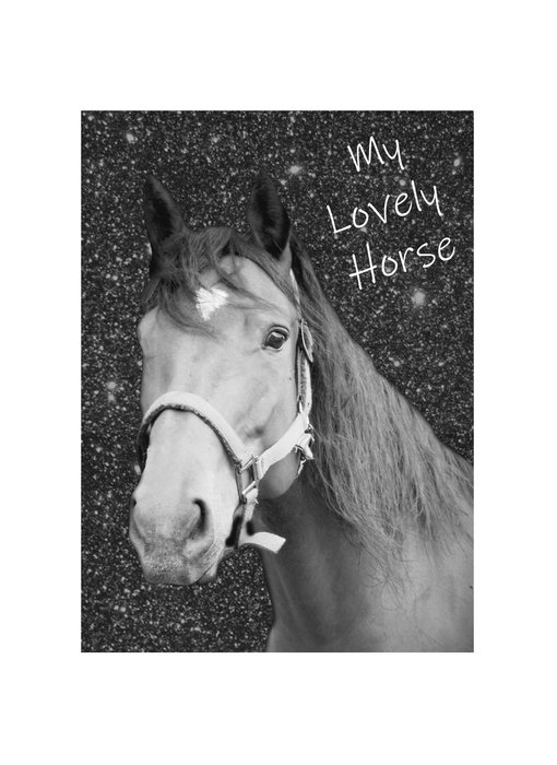 Animal Pictures Lovely Horse Diary A6