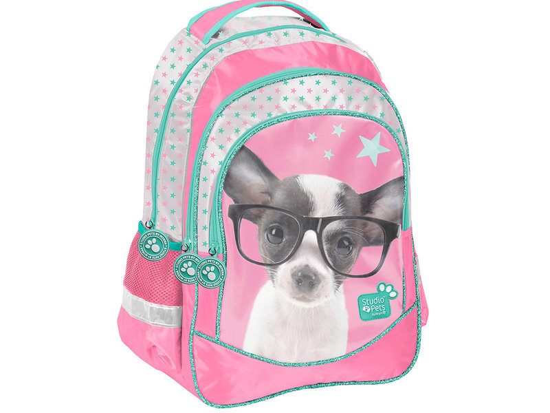 Studio Pets Chihuahua - Rucksack - 41 cm - Multi