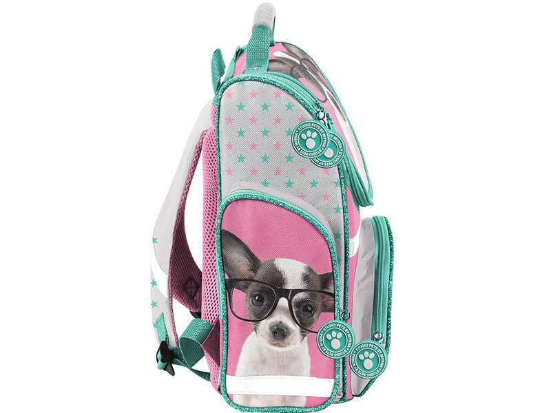 Studio Pets Chihuahua - Ergo Backpack - 41 cm - Multi