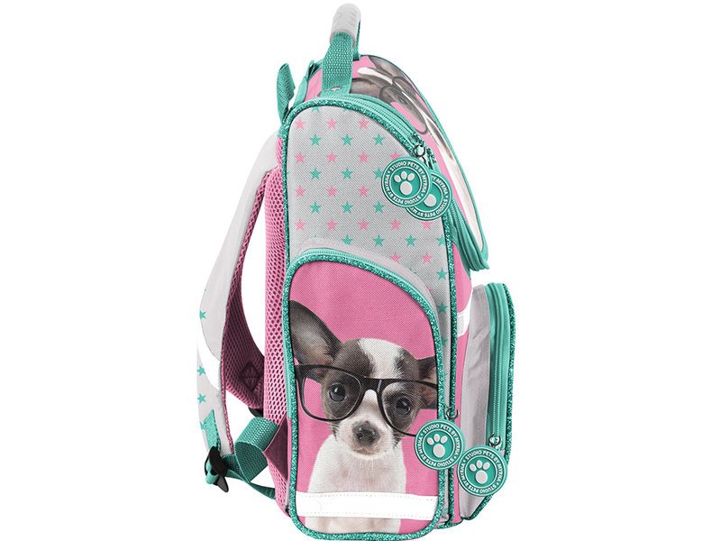 Studio Pets Chihuahua - Ergo Rucksack - 41 cm - Multi