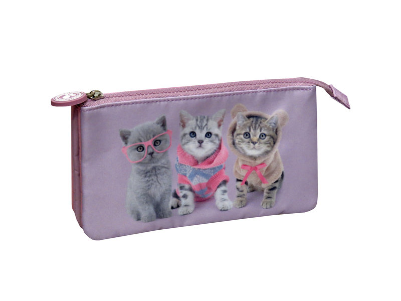 Studio Pets Chatons - Etui - 22 cm - Multi
