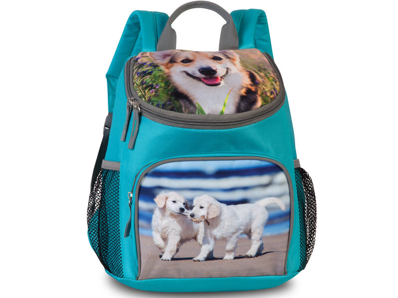 Animal Pictures Kleinkindrucksack Puppies - 30 x 26 x 8 cm - Blau