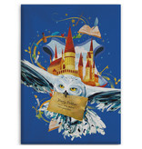 Harry Potter Couverture polaire - Air Mail - 100 x 140 cm - Bleu