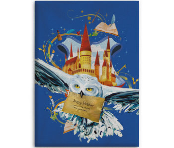 Harry Potter Fleece blanket Air Mail 100 x 140 cm