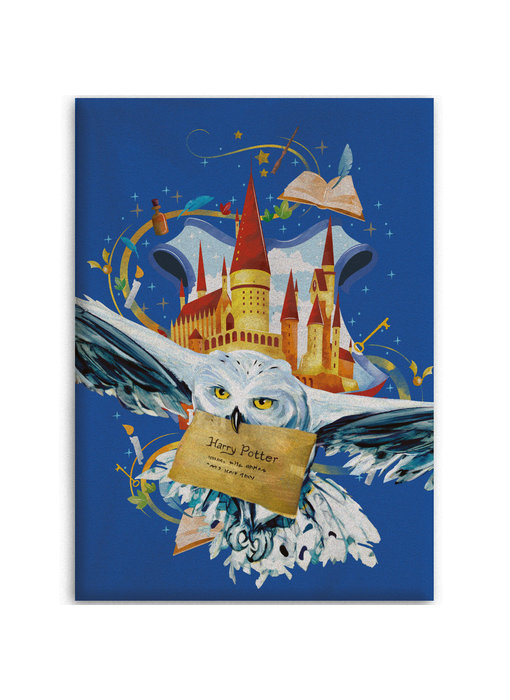 Harry Potter Fleece blanket Air Mail 100 x 140 cm