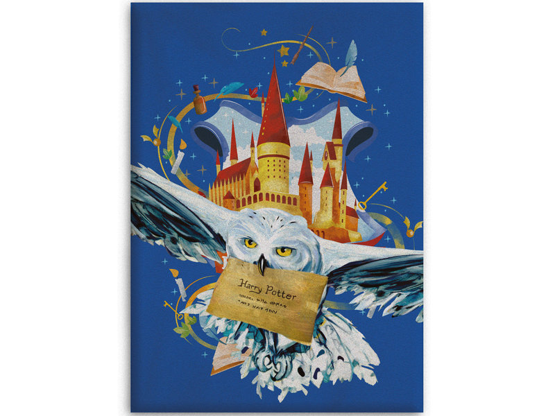 Harry Potter Couverture polaire - Air Mail - 100 x 140 cm - Bleu