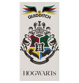 Harry Potter Strandlaken Quidditch - 70 x 140 cm - Multi