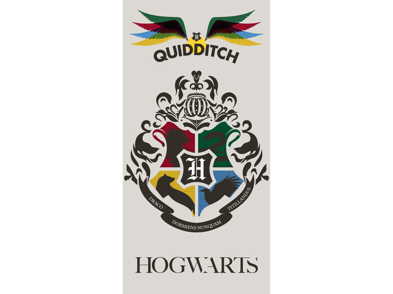 Harry Potter Beach towel Quidditch - 70 x 140 cm - Multi