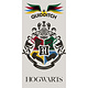 Beach towel Quidditch 70 x 140 cm