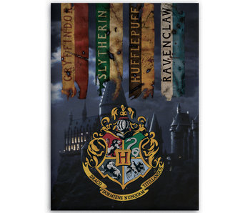 Harry Potter Fleece plaid Hogwarts 100 x 140 cm