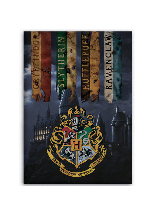 Harry Potter Plaid polaire Poudlard 100 x 140 cm