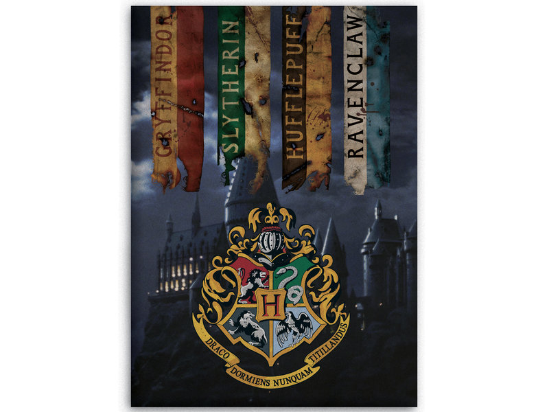 Harry Potter Fleece deken Zweinstein - 100 x 140 cm - Multi