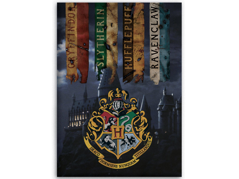 Harry Potter Fleece plaid Hogwarts - 100 x 140 cm - Multi