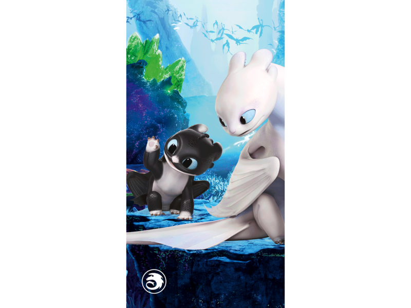 Hoe Tem je een Draak beach towel - 140 x 70 cm - Cotton