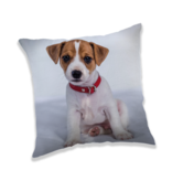 Animal Pictures Coussin Puppy - 40 x 40 cm - Polyester