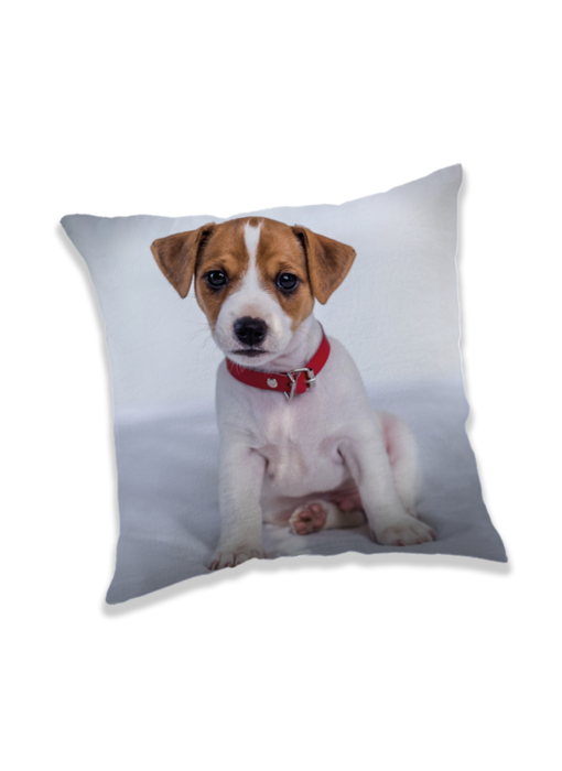 Animal Pictures Coussin Chiot 40 x 40 cm