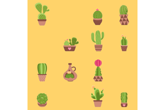 Cactus