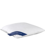 De Witte Lietaer Coussin Ducky - 60 x 60 cm - Rembourrage en duvet